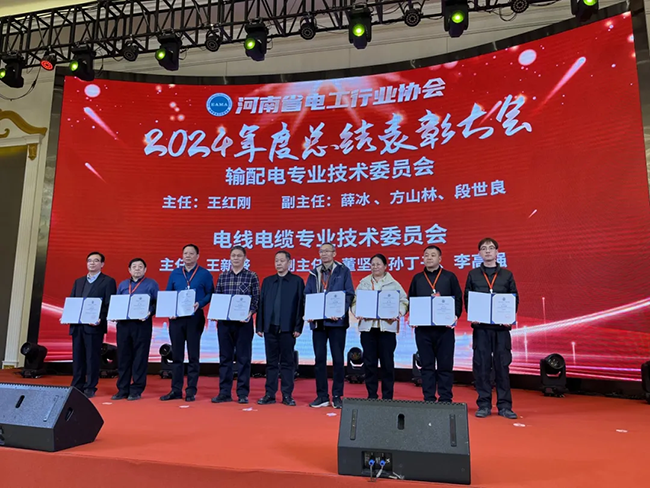 索凌電氣榮獲河南省電工行業(yè)雙優(yōu)稱號， 持續(xù)助力電力行業(yè)發(fā)展